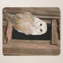 Search for barn owl blankets Wildlife