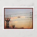 Search for warbird postcards Military