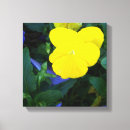 Recherche de pensée jaune art Pensées