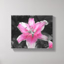Search for lilly flower art Plants