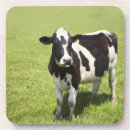 Search for agriculture coasters Standing
