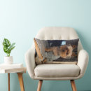 Search for teacup yorkie Yorkshire terrier