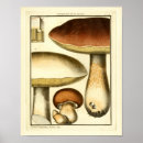Recherche de champignon comestible posters Vintage