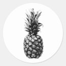 Search for the hawaiian islands stickers Pineapple