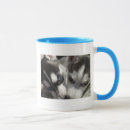 Search for husky puppy mugs Siberian