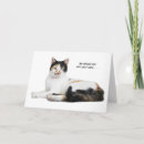 Search for calico cat birthday cards Kitty