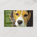 Recherche de chien beagle cartes visite Beagles