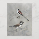 Recherche de paire cartes postales Animaux