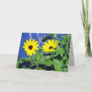 Search for for susan cards Black eyed susan