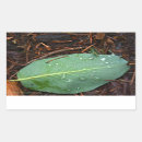 Search for dew stickers Nature
