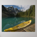 Search for canadian forest posters Reflection