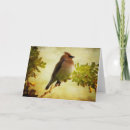 Search for cedar cards Waxwing