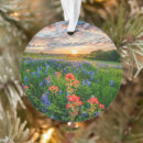 Search for texas bluebonnet ornaments Rural scene