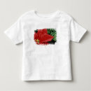 Search for north america tshirts Red