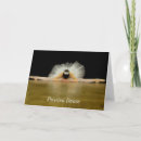 Search for classical dance cards Dancer
