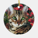 Recherche de chat bengale ornements Chats