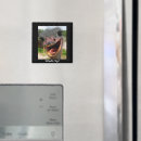 Recherche de autruches magnets Zoo