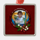 Search for candy ornaments Pine