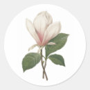 Search for redoute stickers Rose