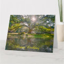 Search for willow tree cards Landscape