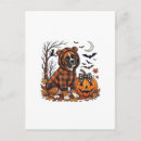 Search for hoodie postcards Animal