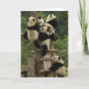 Search for giant sympathy cards Pete oxford