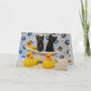 Search for black cat get well cards Feline