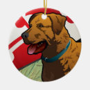 Search for chesapeake bay ornaments Dog