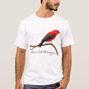 Search for red cardinal bird tshirts Birding
