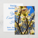 Search for dogwood invitations Nature