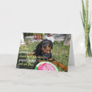 Search for funny dog anniversary cards Puppy
