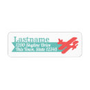 Search for biplane return address labels Airplane