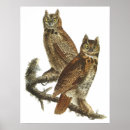 Recherche de owl posters Watercolor