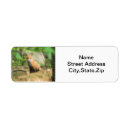 Search for fox return address labels Forest