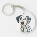 Search for dalmatian keychains Funny