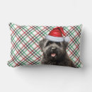 Recherche de christmas dog coussins Chien
