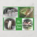 Recherche de zèbre autres Zoo