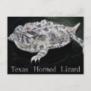 Recherche de reptile cartes postales Grenouille