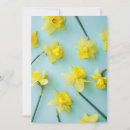 Recherche de daffodil remerciements cartes Nature