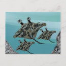 Recherche de manta posters Aquatique