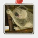 Search for queensland ornaments Oceania