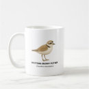Recherche de dangers tasses Côte
