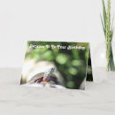 Search for funny turtles cards Nature