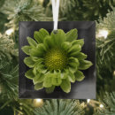 Search for chrysanthemum ornaments Petal