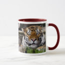 Search for siberian tiger mugs Cats