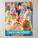 Search for funny birthday posters Cute animal
