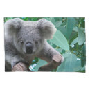 Search for koala pillowcases Australia