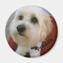Recherche de personnalité magnets Animaux
