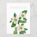 Recherche de asheville cartes postales Vintage