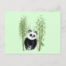 Search for panda postcards Black and white